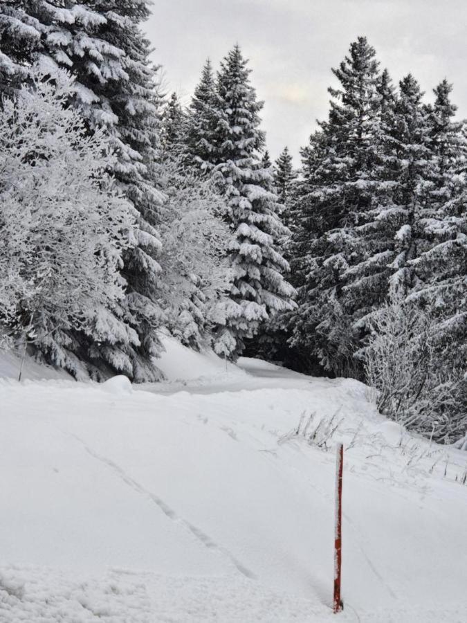 Appartamento Chamrousse 1700 - Asters A03 Esterno foto